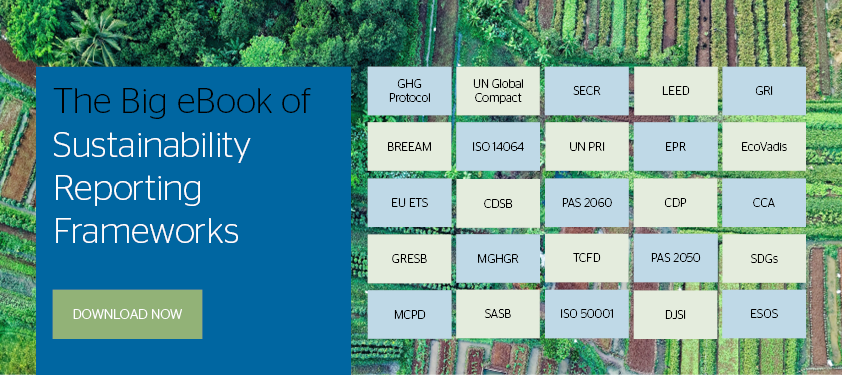 Download our new 2021 Sustainability Frameworks eBook