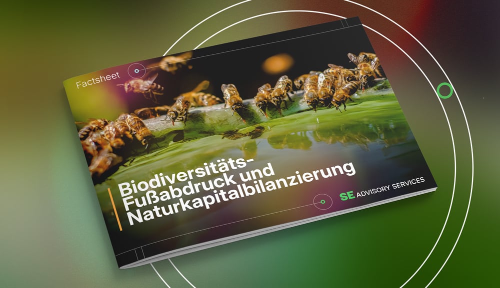 Biodiversity-SEAS-Report-Mockup-DE