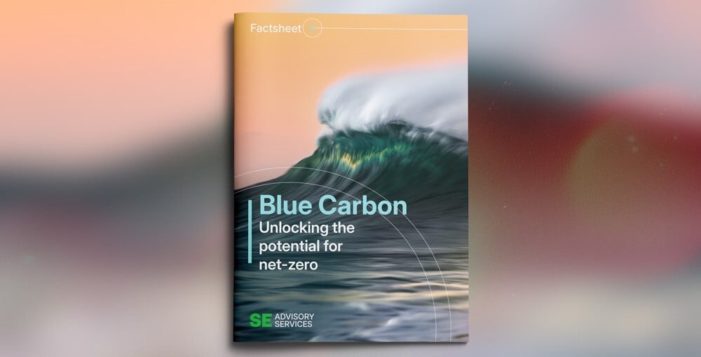 Blue-Carbon-ENG-SEAS-Mockup Cropped