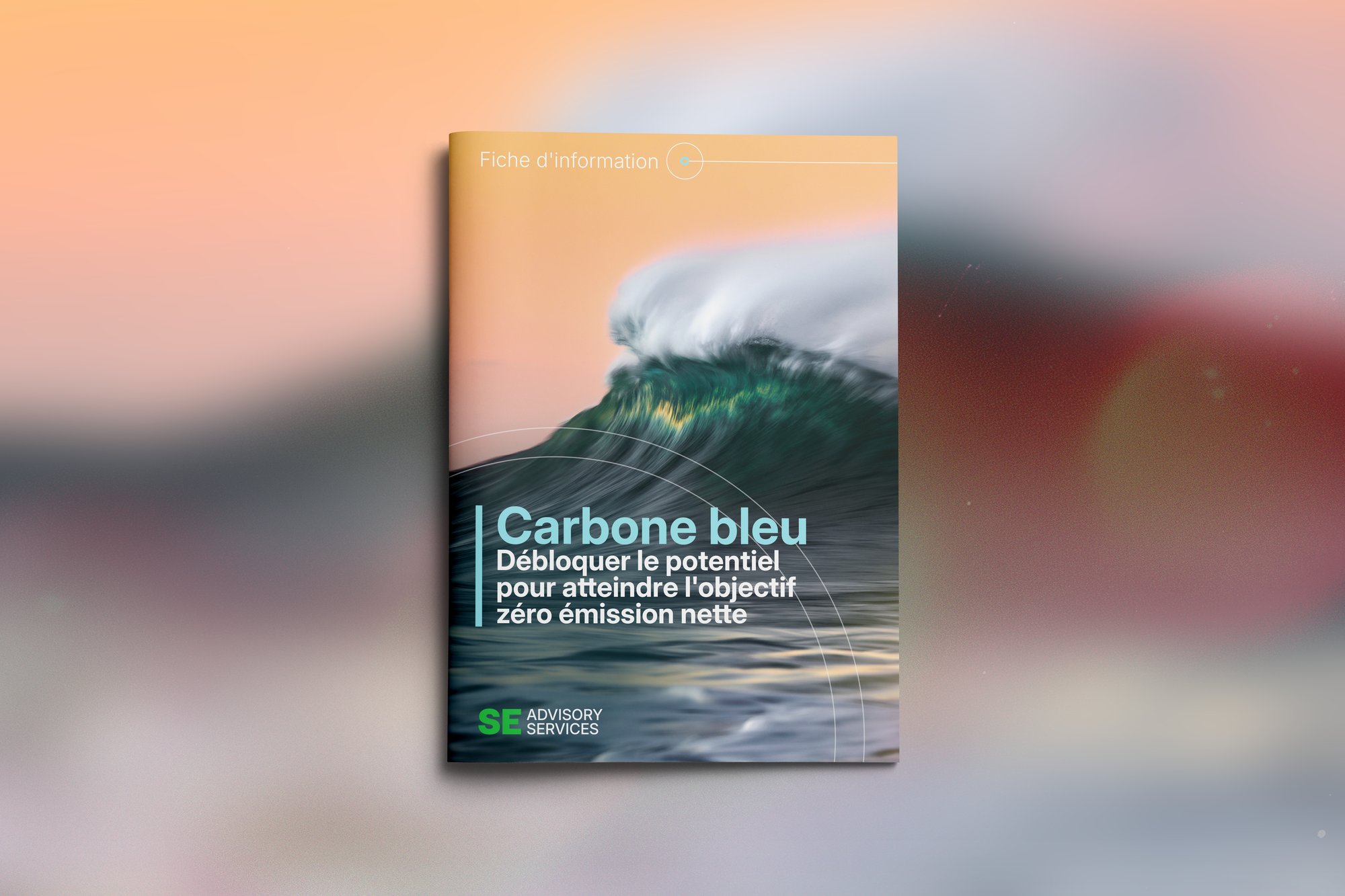 Blue-Carbon-FR-Factsheet-Mockup-SEAS Blue-Carbon-FR-Factsheet-Mockup-SEAS