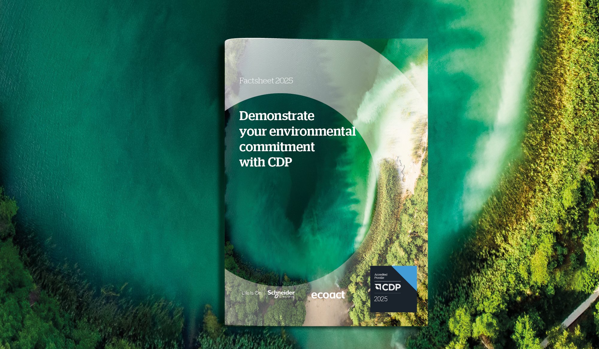 CDP Factsheet 2025 Mockup with background