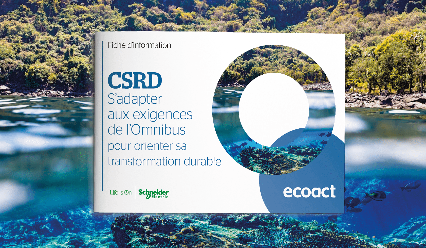 Factsheet CSRD Miniature