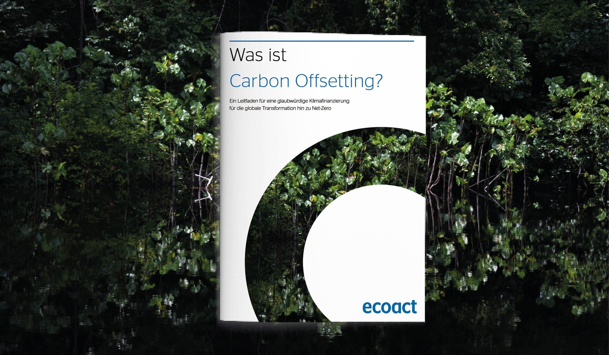 Carbon Offsetting_Mockup Carbon Offsetting_Mockup