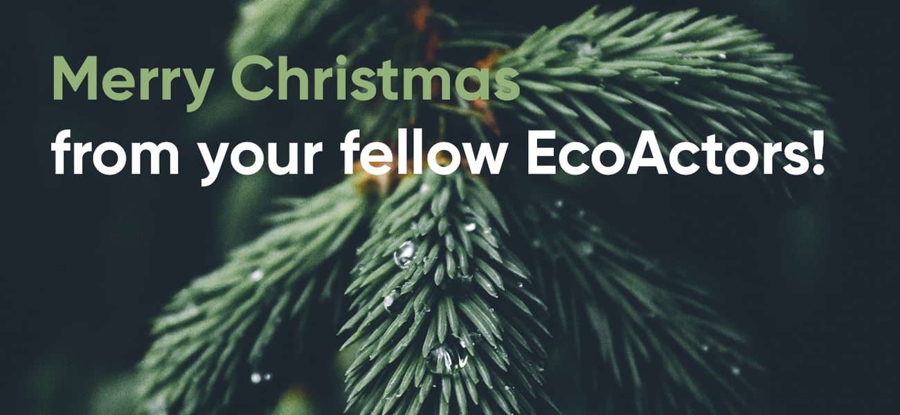 Merry Christmas from your fellow EcoActors