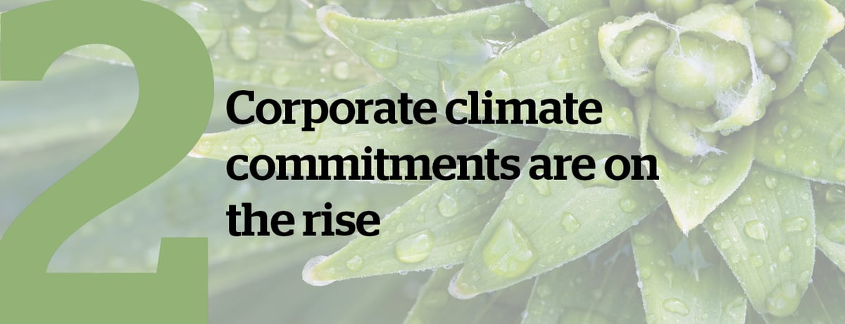 2. Corporate climate commitments are on the rise
