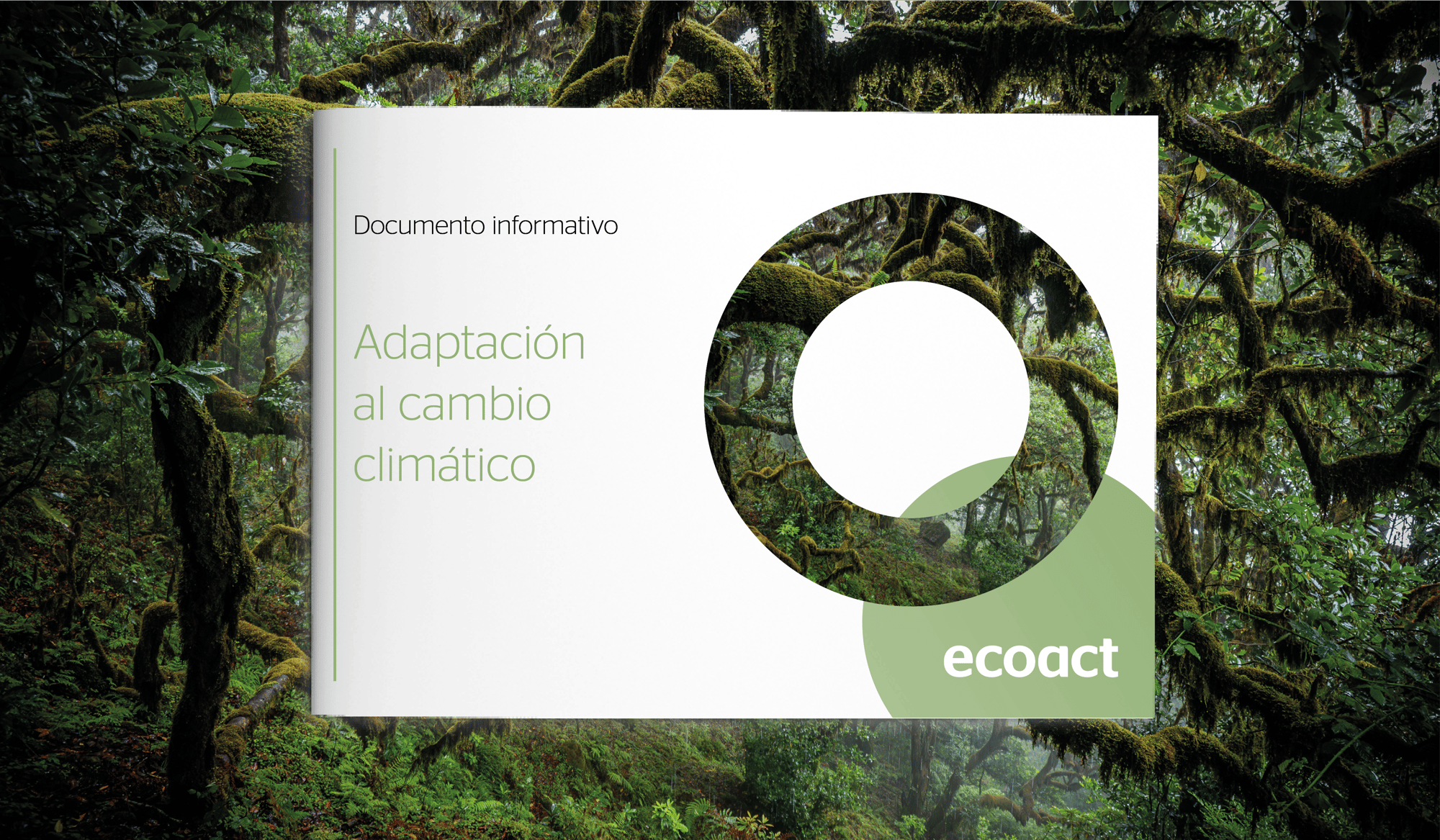 Guía - Cómo adaptarse al cambio climático