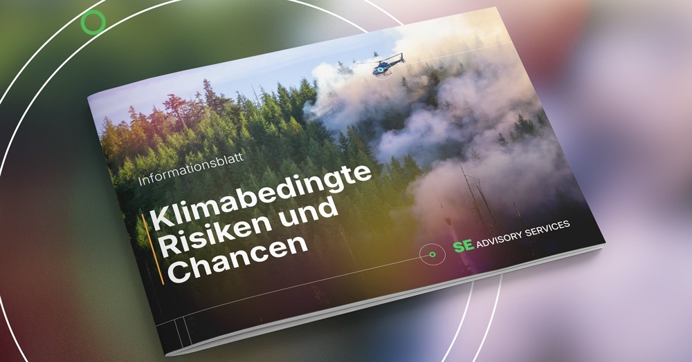 Climate-Risk-Factsheet-DE-2025-Mockup-SEAS