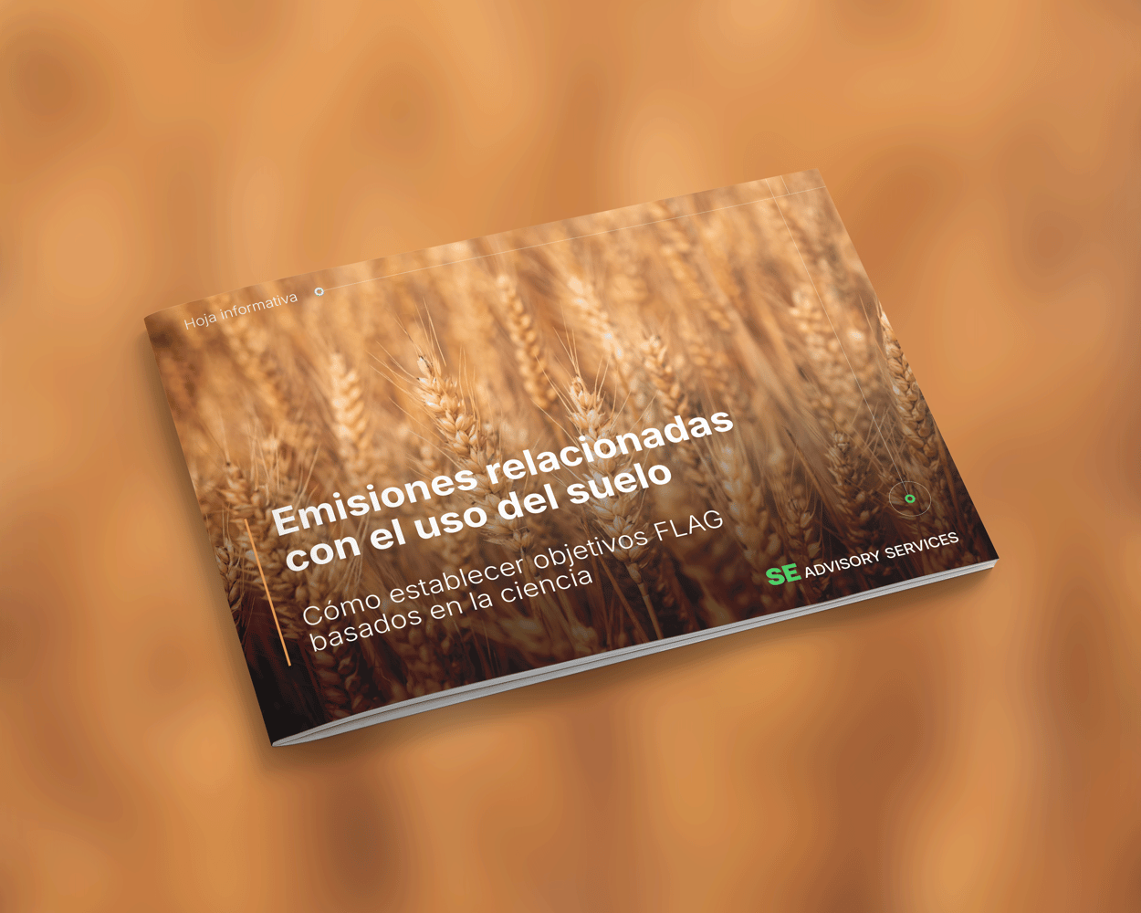 Hoja informativa FLAG SBT - SE Advisory Services