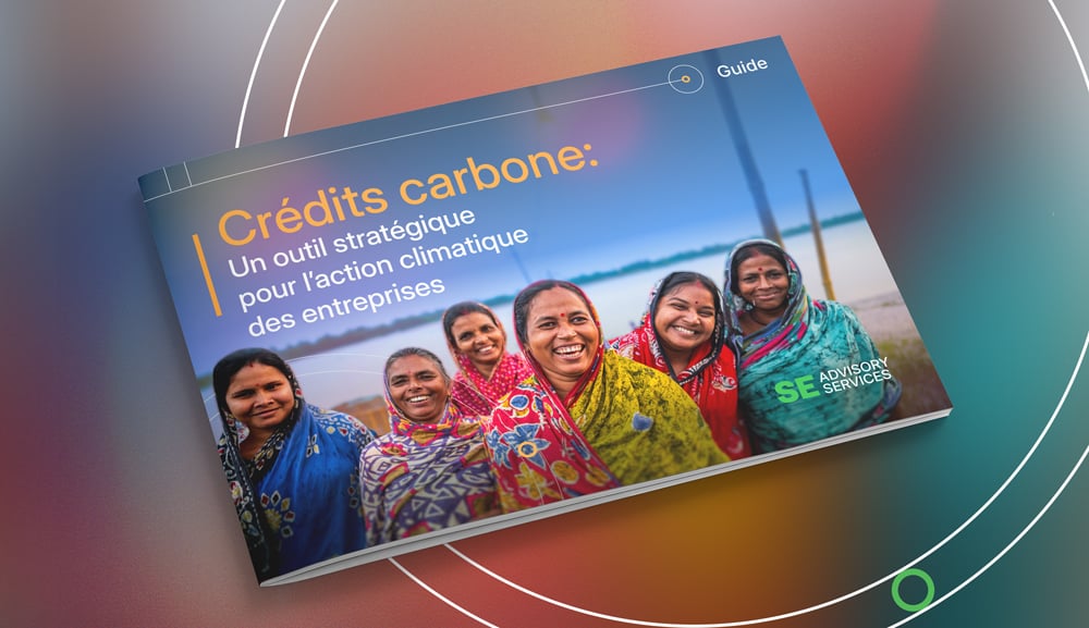 FR---Carbon-Markets-playbook-VCM-whitepaper-Factsheet-2025-Mockup-SEAS FR---Carbon-Markets-playbook-VCM-whitepaper-Factsheet-2025-Mockup-SEAS