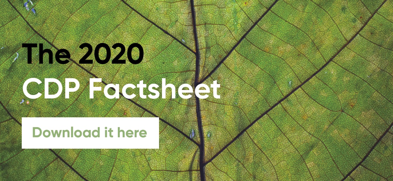 Download the 2020 CDP Factsheet