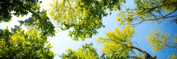 Atos joins Climate Neutral Data Centre Pact