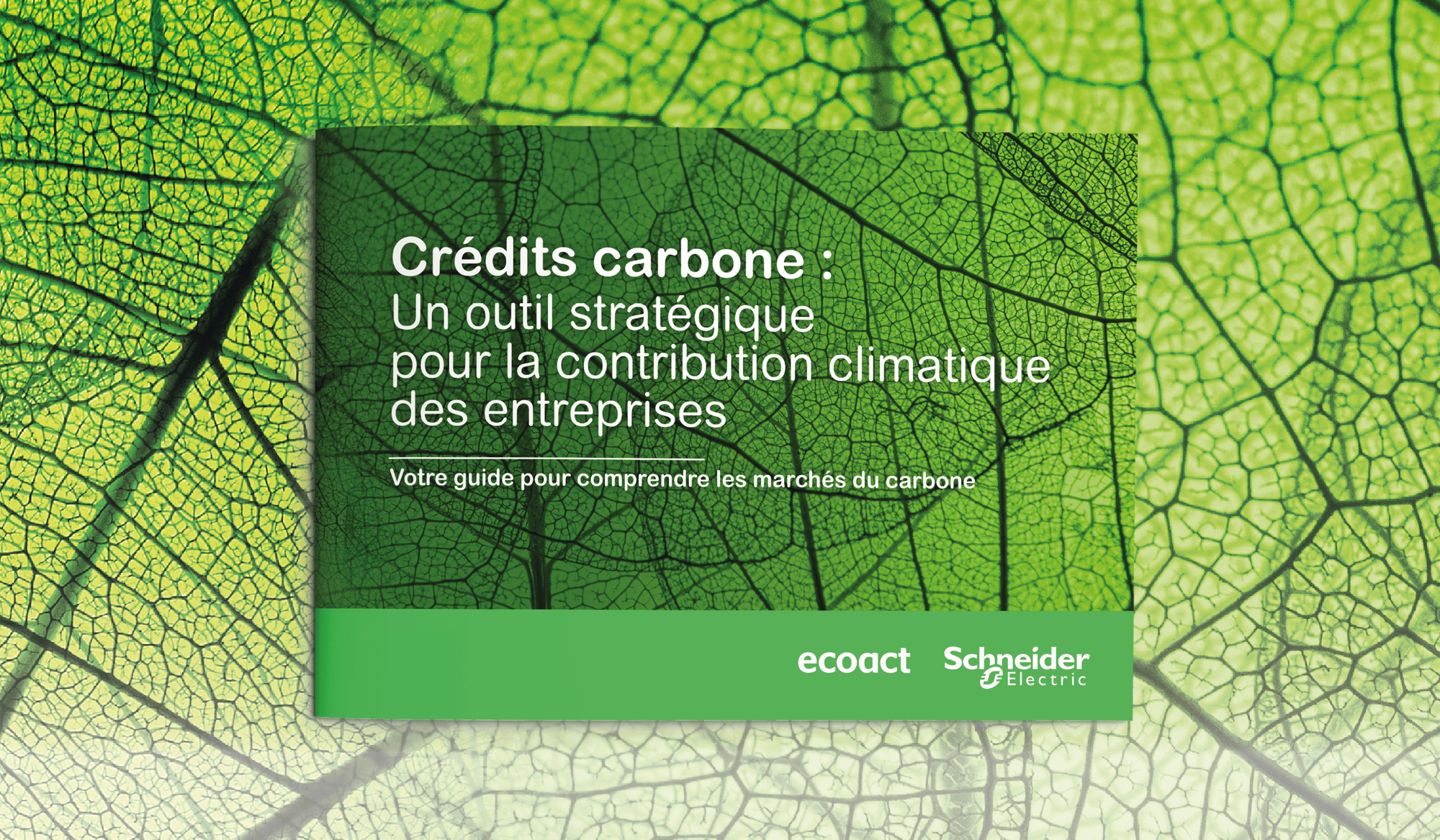 Guide marchés du carbone