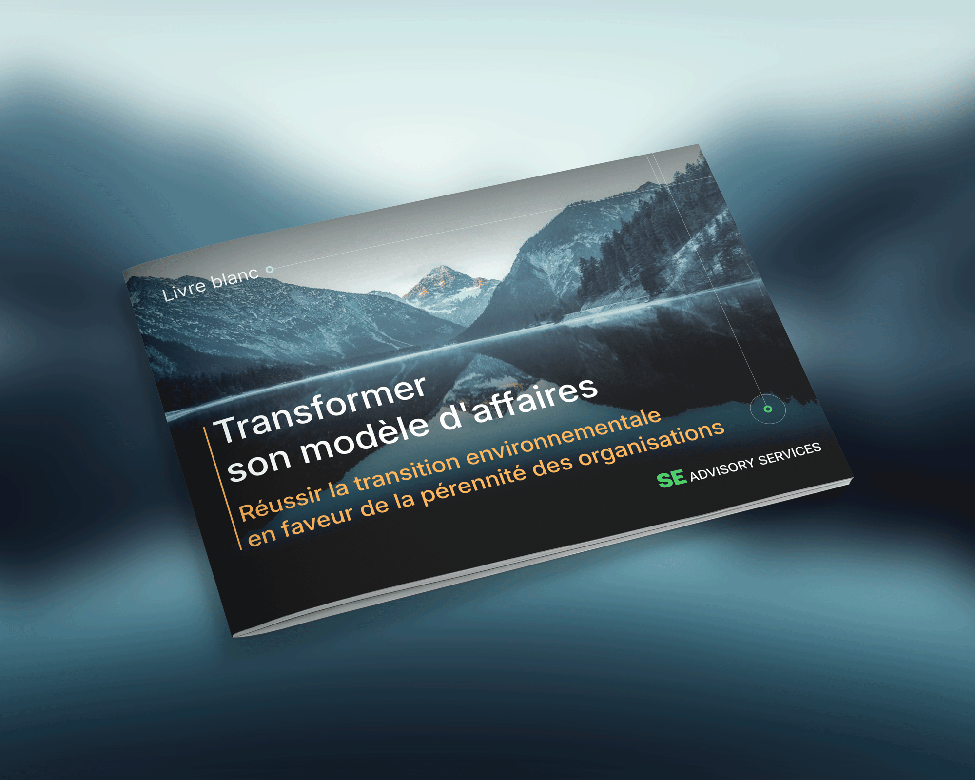 Livre Blanc Transformer son modèle d'affaires Livre Blanc Transformer son modèle d'affaires