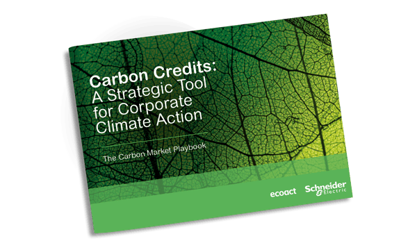 Voluntary Carbon Markets Whitepaper (VCM) Mockup Transparent tilted