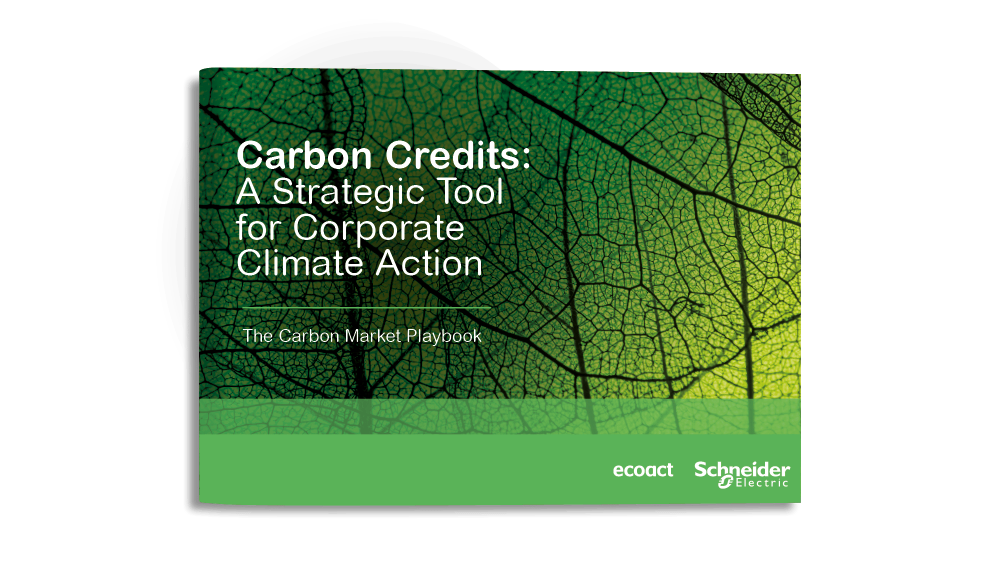 Voluntary Carbon Markets Whitepaper (VCM) Mockup Transparent