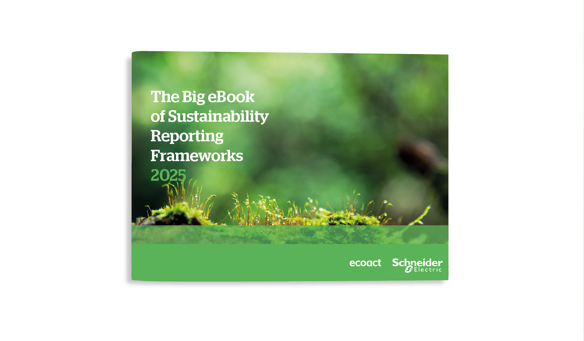 eBook reporting frameworks cobranded Mockup transparent smaller