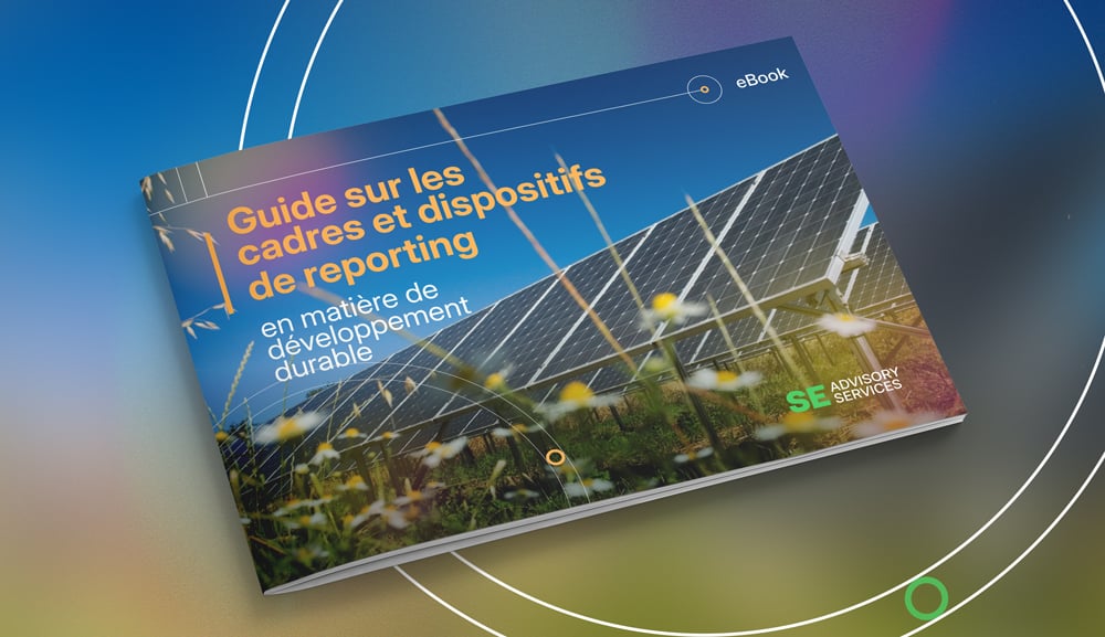 Guide sur les cadres et dispositifs de reporting SE Advisory Services Guide sur les cadres et dispositifs de reporting SE Advisory Services