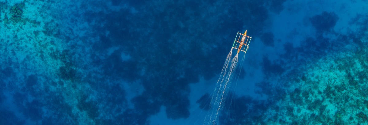 Unlocking the potential of  Blue Carbon