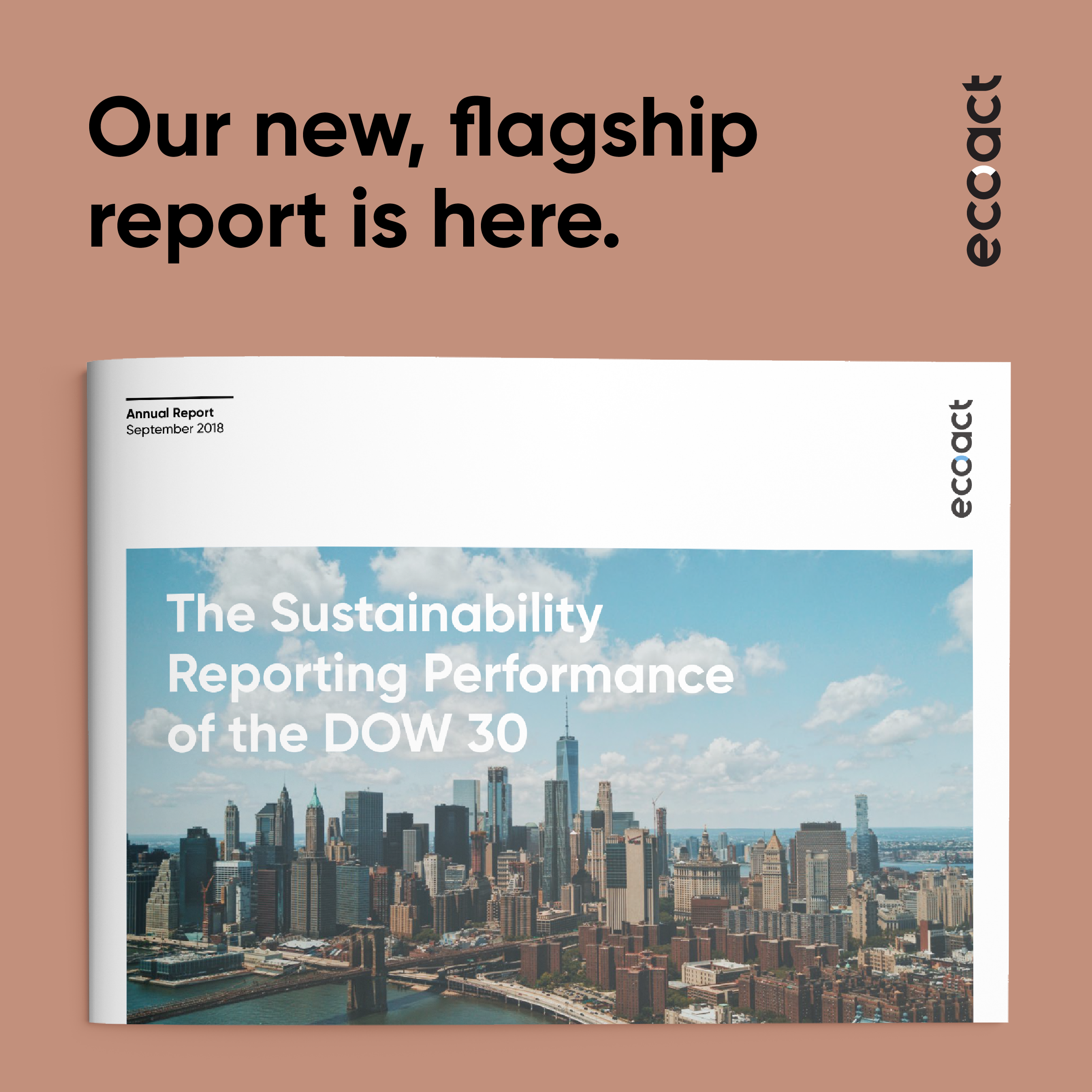 The Sustainability Reporting Performance of the DOW 30 | 20182400 x 2400