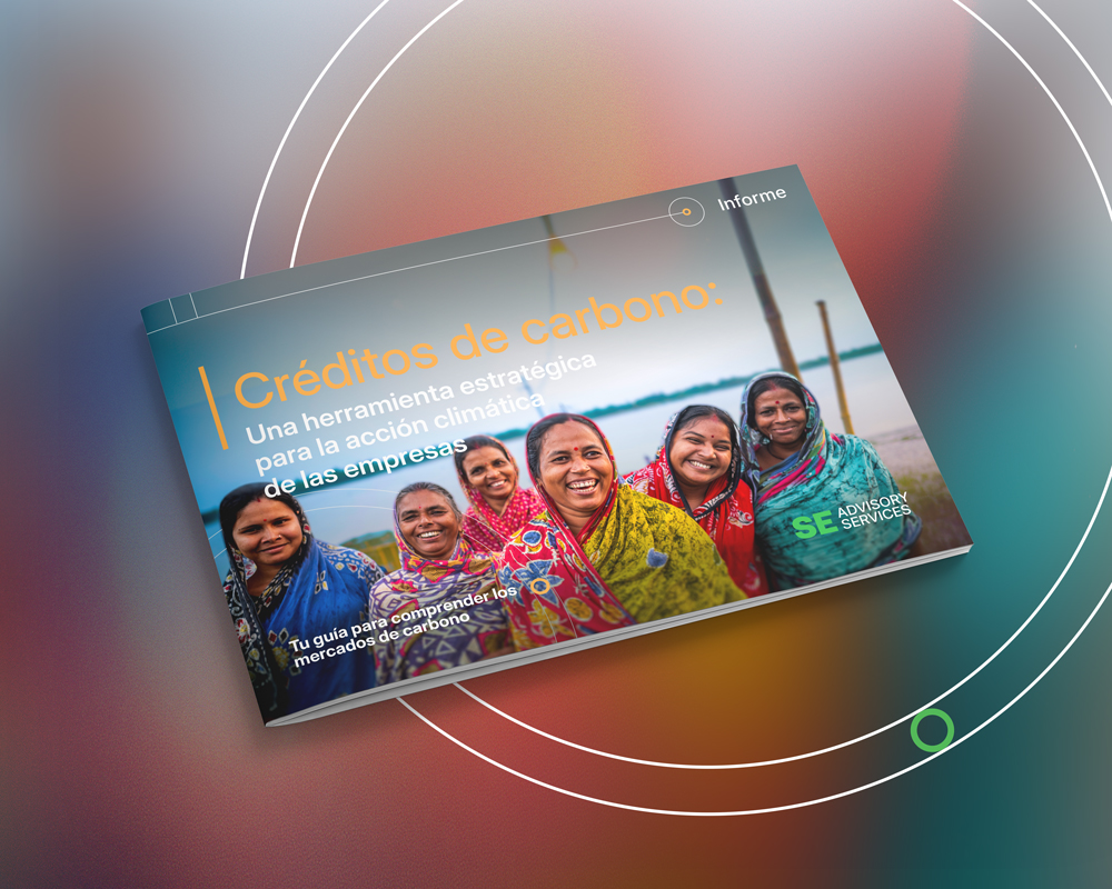 Carbon-Markets-playbook-VCM-whitepaper-Factsheet-ESP-2025-Mockup-SEAS