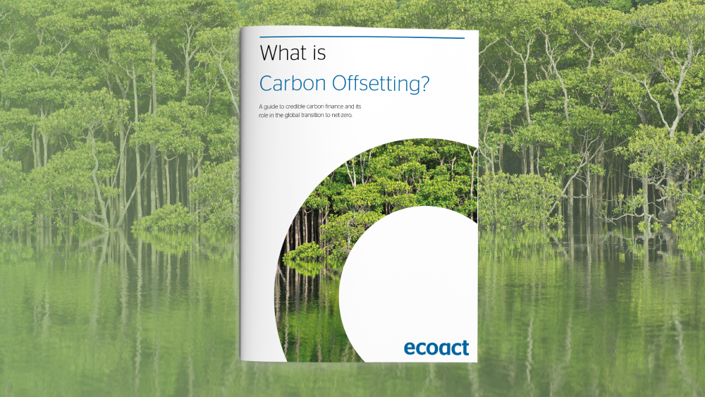 What is carbon offsetting & why is it important for climate change?